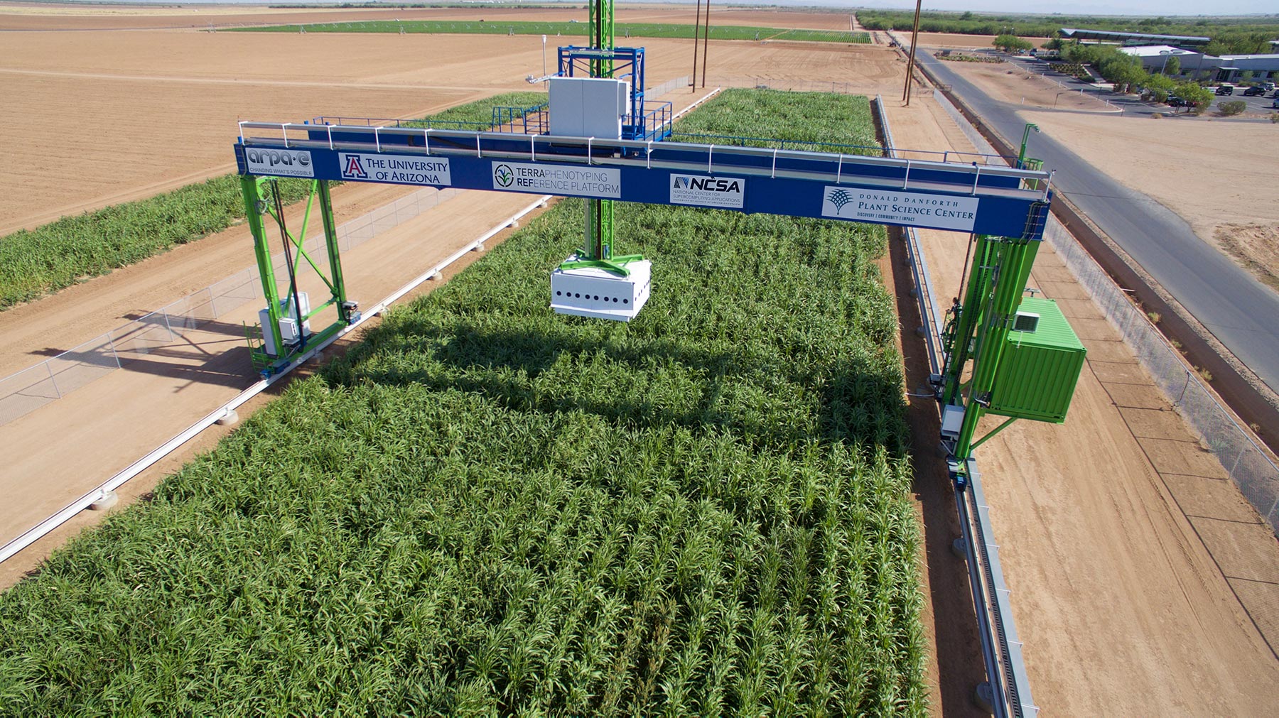 Sorghum crop with field scanalyzer in the background