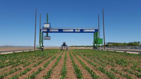 Phenotyping field scanner system