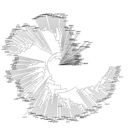 Genomic and genetic data and computational platform