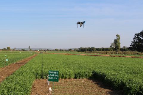 Phenotyping sensors on Unmanned Aerial Vehicles