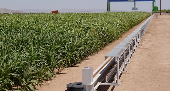 A giant electronic scanner in Maricopa, Arizona