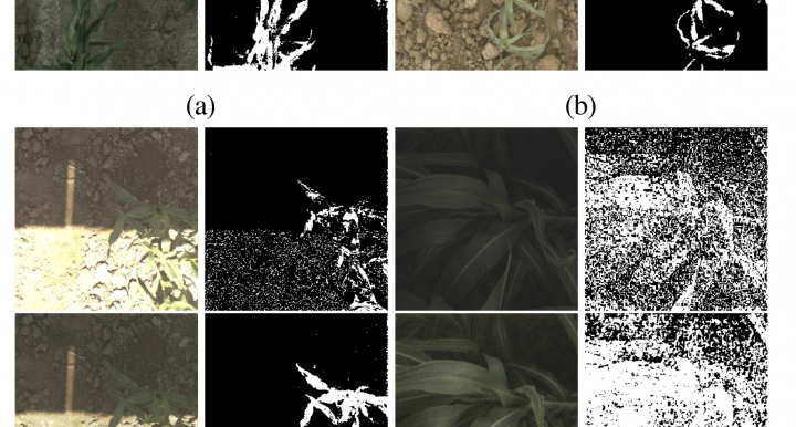 Figure 1: Each subfigure shows the original image over the color-corrected image, and the masks derived from each. 