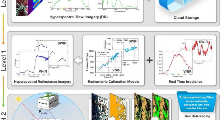 Overall workﬂow of hyperspectral imagery processing pipeline.